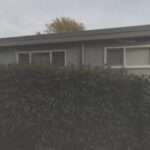 Michael Reed Law Firm