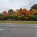 Sylvester Christine J