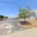 Carney & Associates Pa