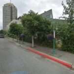 Mary Ellen Meddleton