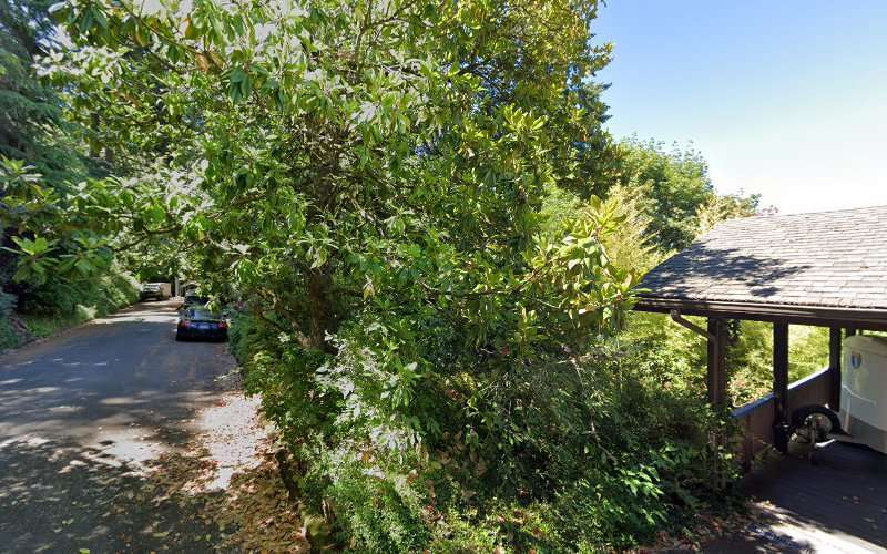 Constitutional Law Foundation