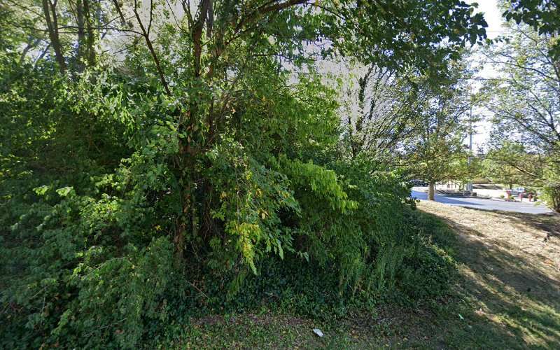 Bryan Bishop Attorney at Law