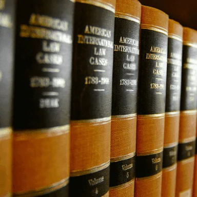 Attorney Portrait