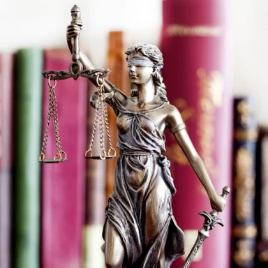 Attorney Portrait
