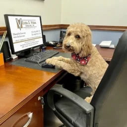Attorney Portrait