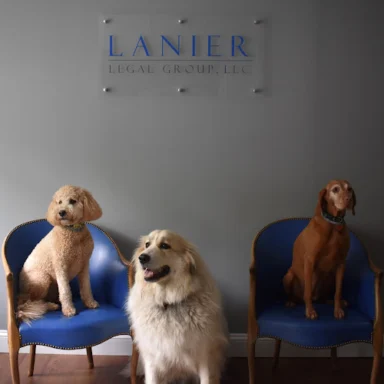 Attorney Portrait