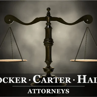 Attorney Portrait