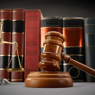 Attorney Portrait