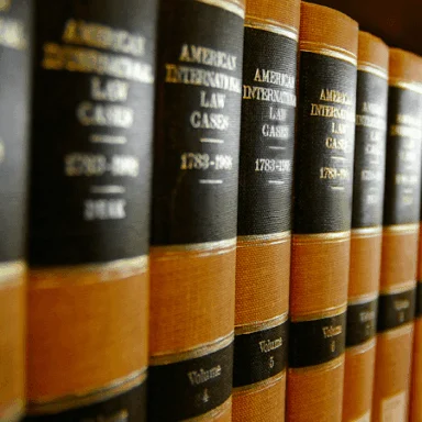 Attorney Portrait