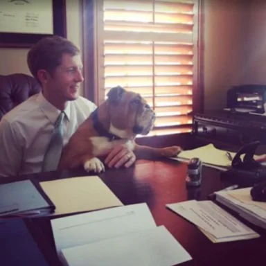 Attorney Portrait
