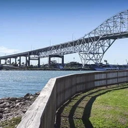 Attorney Portrait